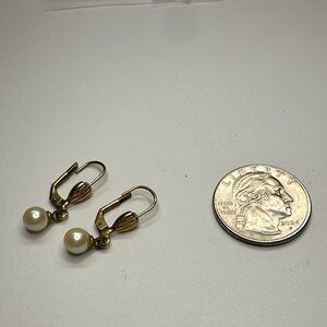 Elegant Golden and Pearlescent Drop Earrings